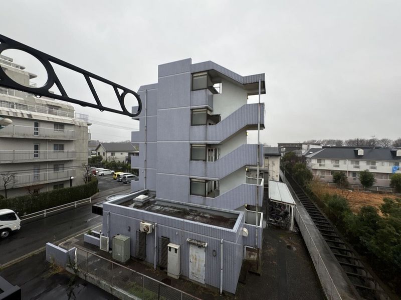 leopalace Kirschbaum 视野