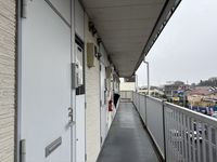 leopalace SILK 其他