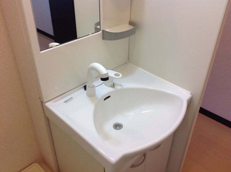 レオネクスト城北 洗面所