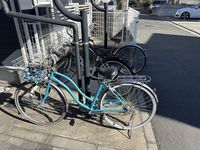 LEONEXT Olive House VI 공용 부분