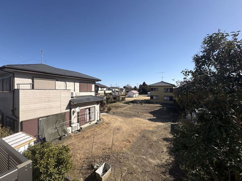 LEONEXT Gemare Oami View