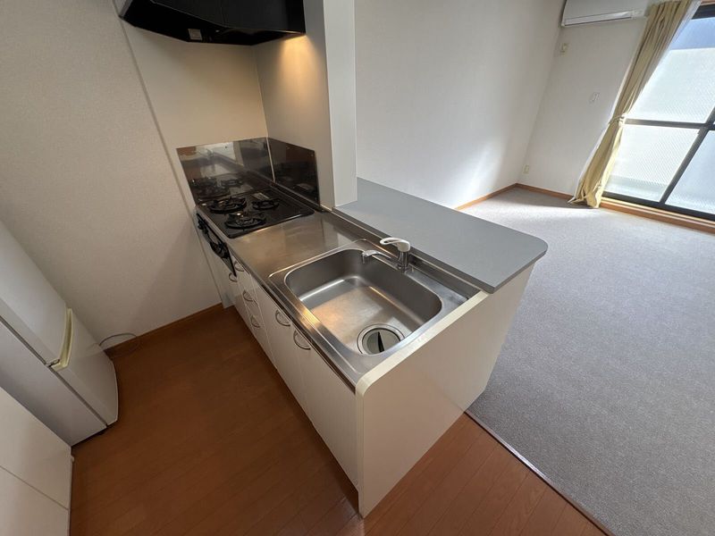 leopalace Maison Kandatsu A 厨房