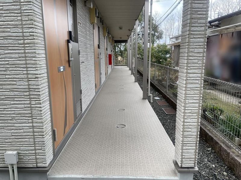 CLEINO BAMBOO 其他