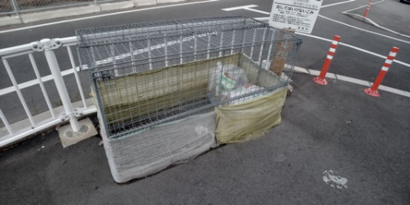 クレイノパストラルⅡ 共用部分