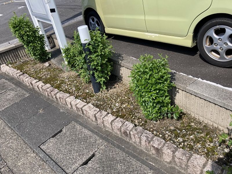 レオネクストＫ　ひかりⅡ 庭
