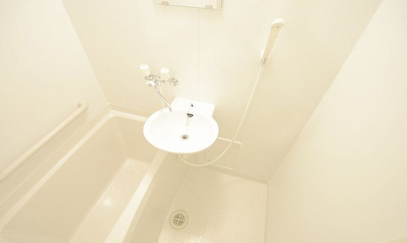 レオネクスト百番館 洗面所