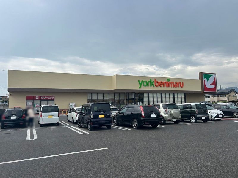 レオネクストサンシャイン宮代 周辺環境