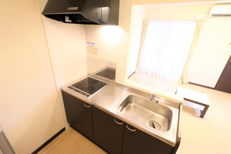 LEONEXT Cool de Iris Khác