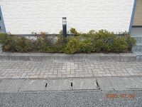 レオパレス田原町Ⅱ 庭