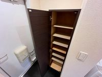 CLEINO Wisteria IV 기타