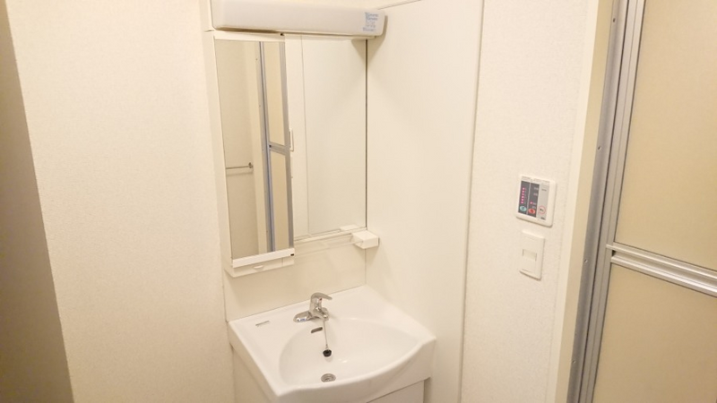 レオネクストＣｒｉｂ塚間 洗面所