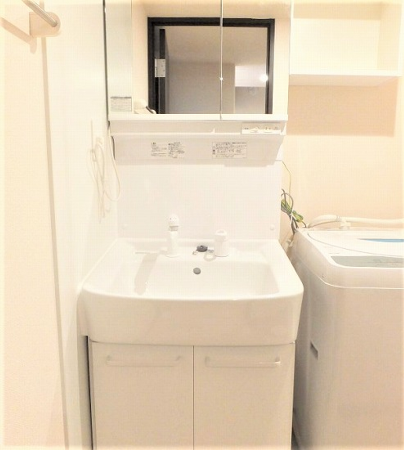 LEONEXT Sakura 3 Sink