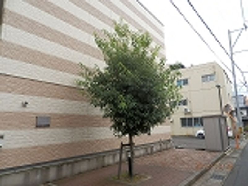 レオパレス蓬莱 庭