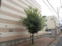 レオパレス蓬莱 庭