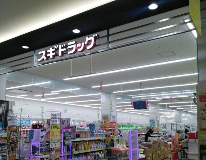 レオパレスフィエスタＹ１０２ 周辺環境