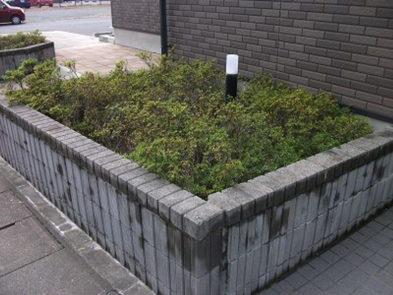 レオネクスト八幡 庭