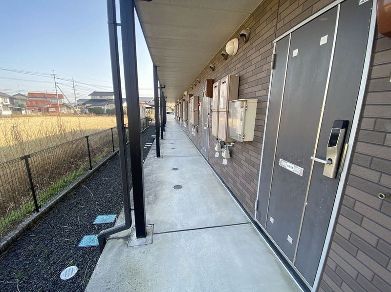 レオネクストカサデエスペランサ その他