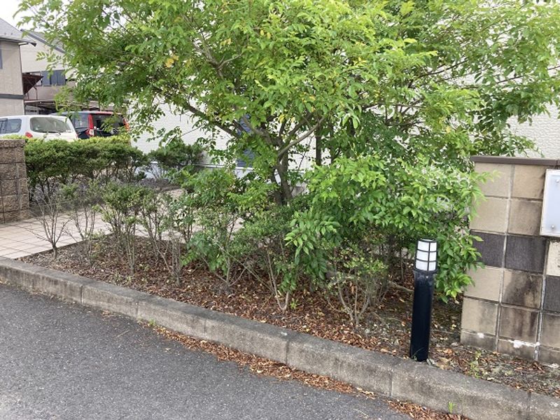 レオネクスト本荘 庭