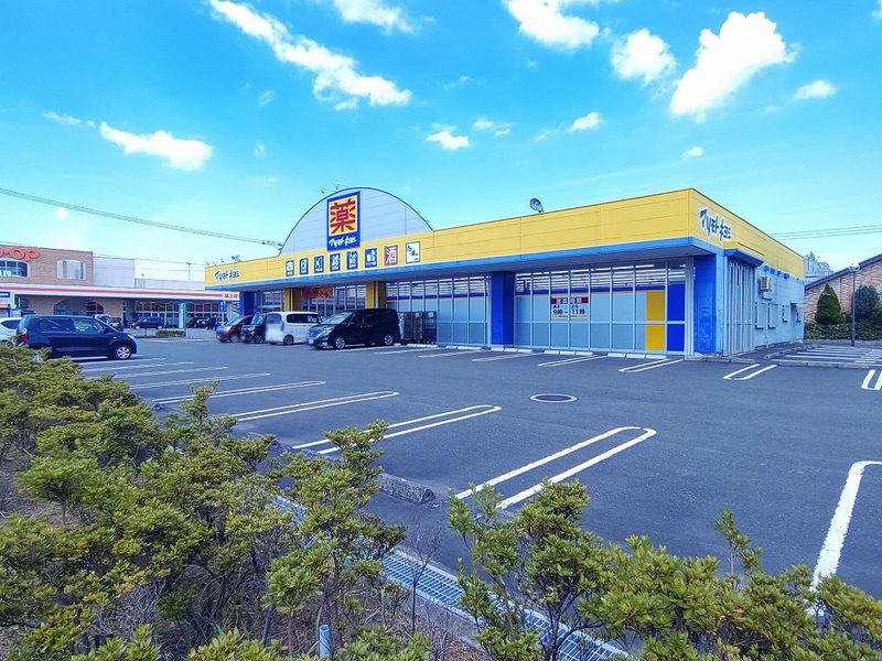 レオパレス大宮 周辺環境