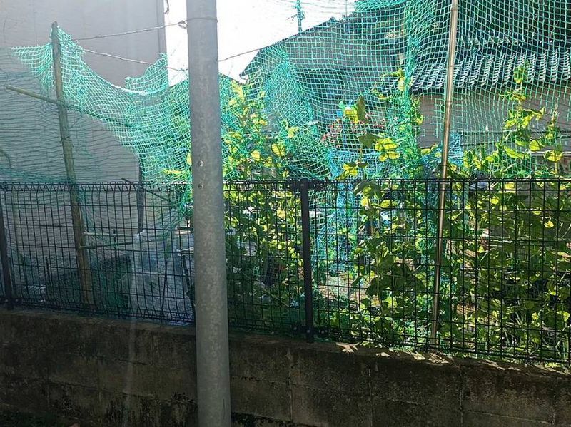 leopalace Wind Valley Nagayoshi View