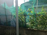 leopalace Wind Valley Nagayoshi View