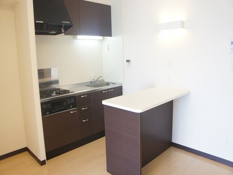 LEONEXT Maison Kashiwai 주방