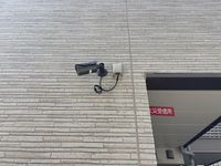 CLEINO N's Garden Shared spaces