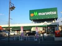 レオネクストコスモ 周辺環境