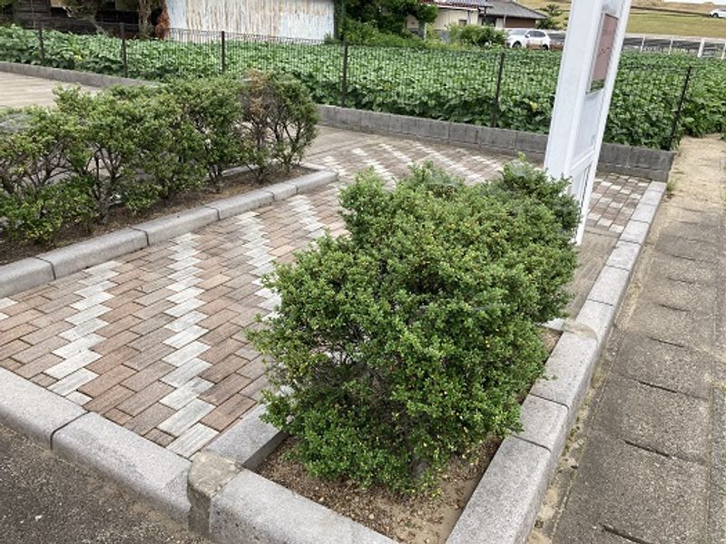 レオパレス島田 エントランス