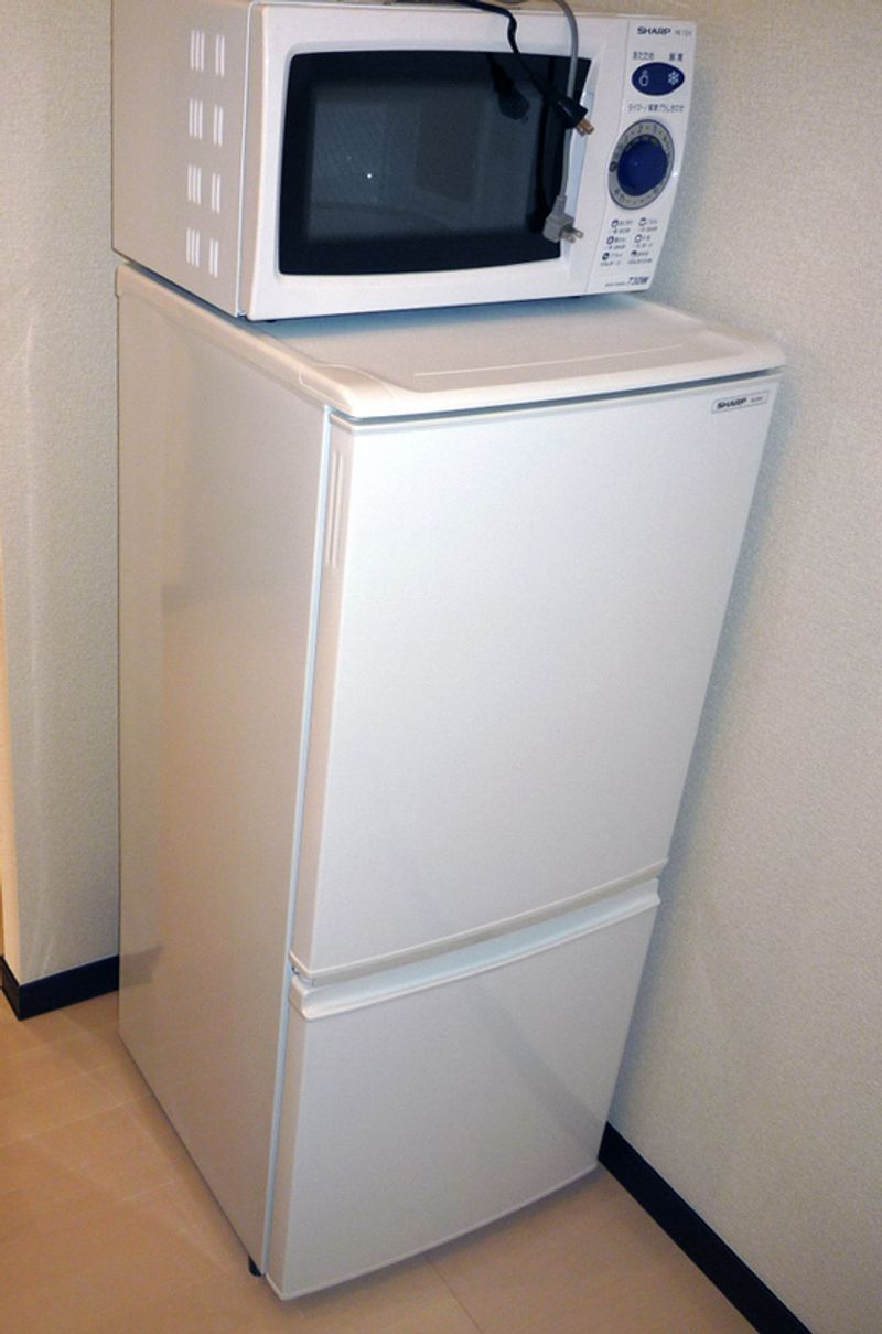レオネクストドマーニ その他