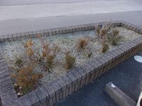 レオパレスオバタ　原町 庭