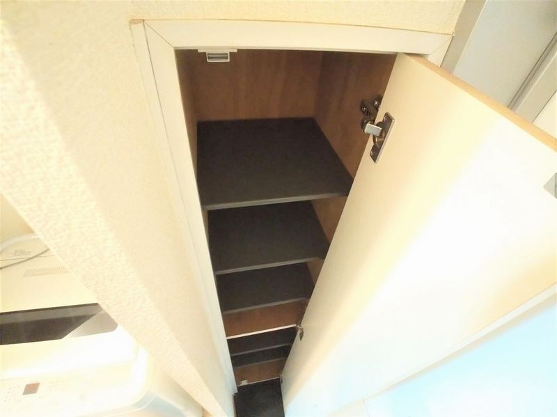 レオパレスドリーム その他