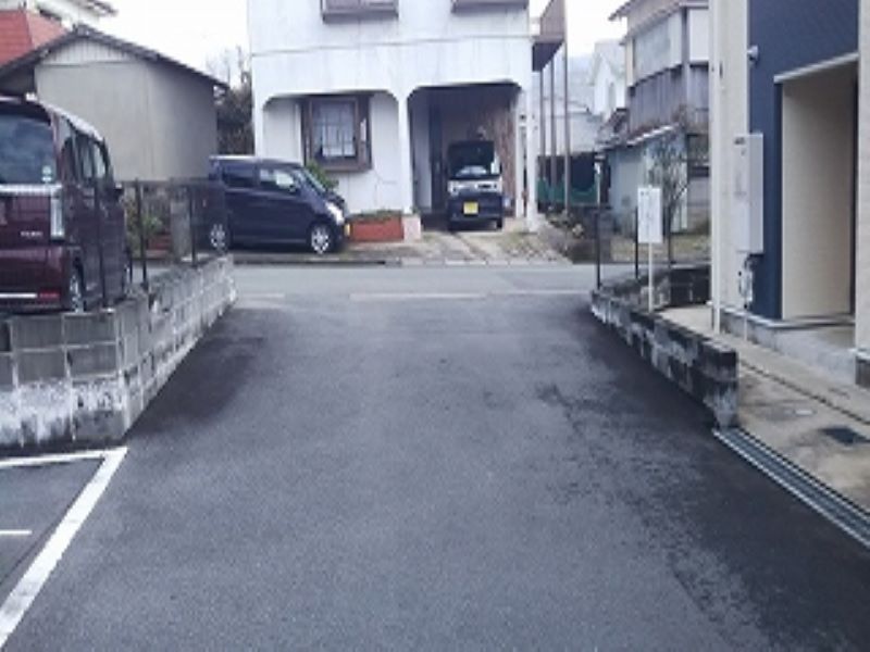 レオネクストブルーゼファー その他
