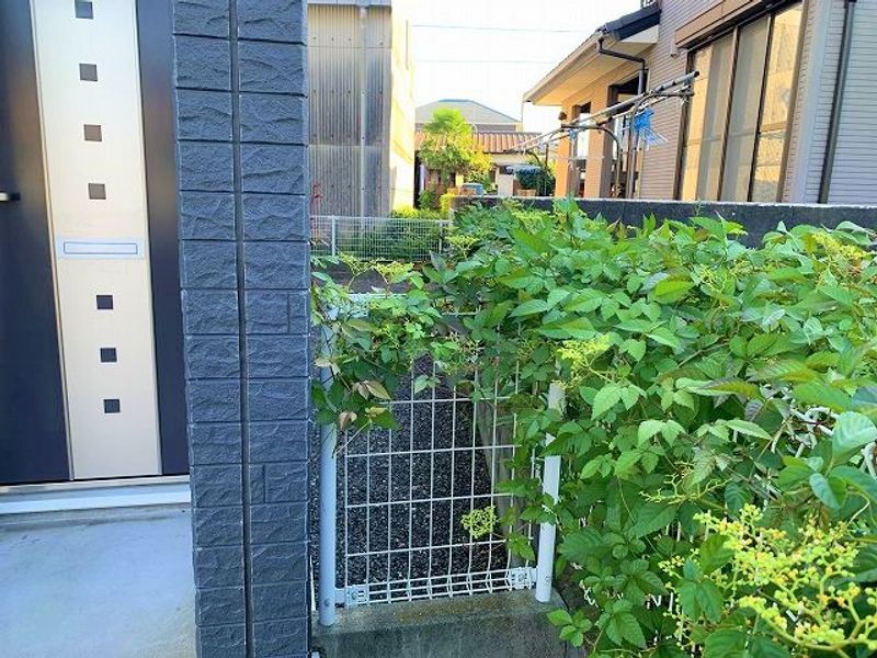 レオネクストソレイユＦ 庭