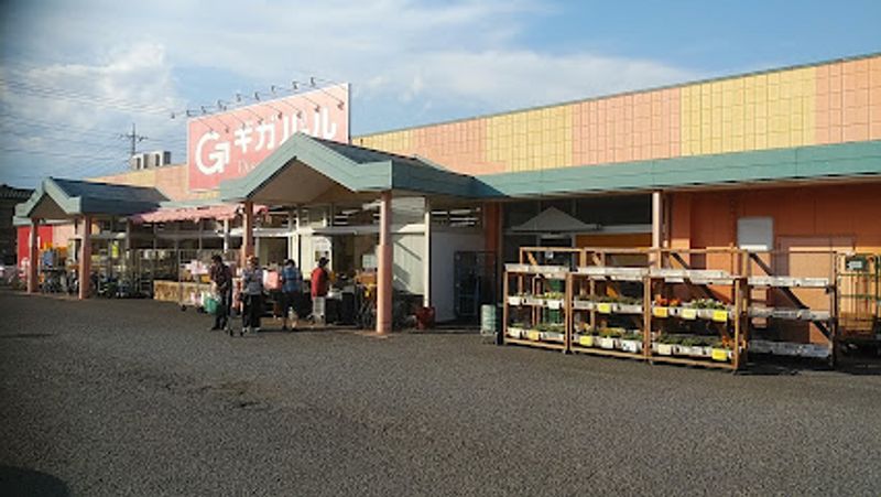 レオネクストグレープヒルＣ 周辺環境