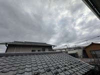 leopalace Tabu no Ki 전망