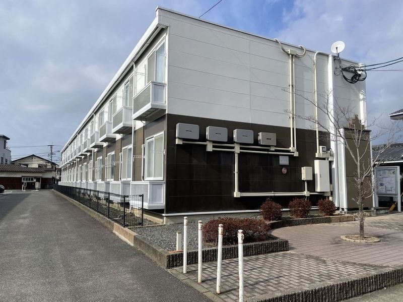 leopalace Beauty Leaf II 外观