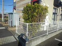 レオパレスダンデリオンびわぶち 庭