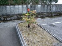 レオパレスＷａｖｅ 共用部分