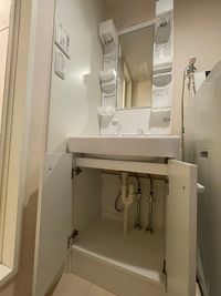 レオネクストパーチェ 洗面台