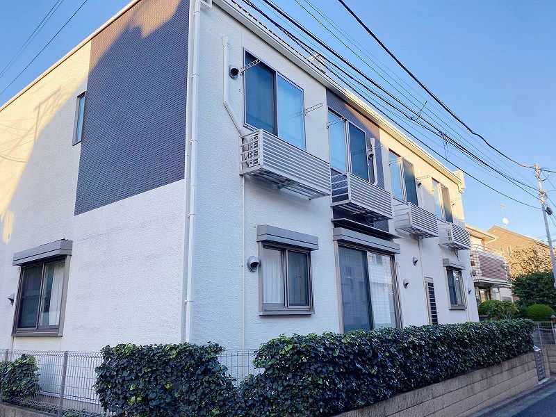 LEONEXT Clematis外观