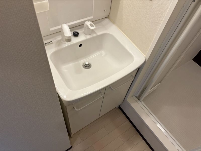 レオネクストレジスター本郷 洗面所