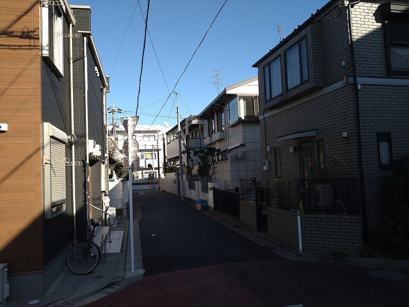 CLEINO T Shirasagi View