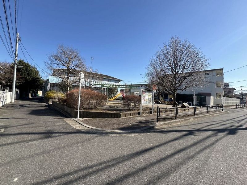 LEONEXT Clematis Môi trường xung quanh