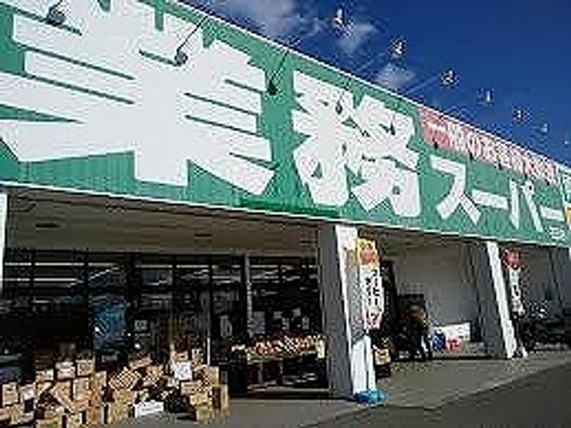 レオパレスｍａｐｌｅ 周辺環境