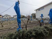 leopalace Pure 전망