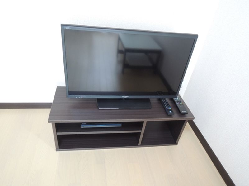レオネクストラメール その他