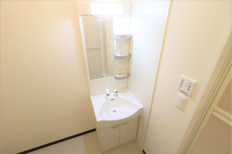 レオネクスト園部木崎町 洗面台