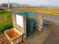 レオパレスＣＡＰＴＡＩＮ 共用部分