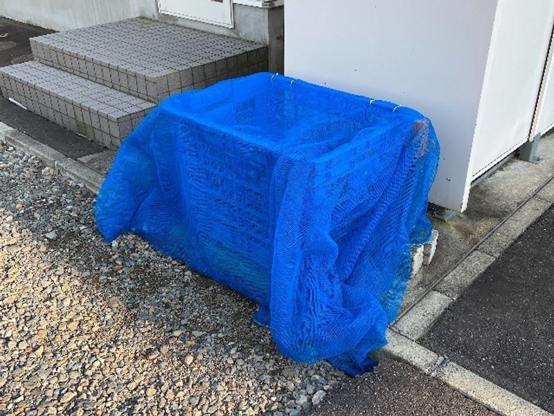 レオパレスビラ５２４ 共用部分